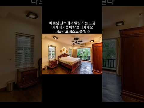산속에서 힐링하고 가세요 #황제투어