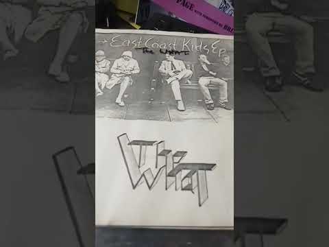 The What Anything Goes. Punk 1979 reviewed by Tony Page in the book Anoraky in the UK 2.