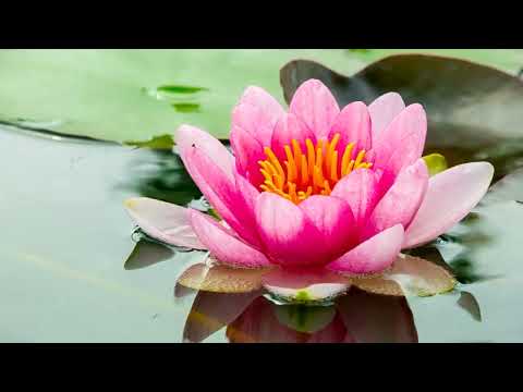 Pen Boutique Ltd Pen Boutique Ltd