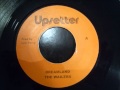Wailers - Dreamland