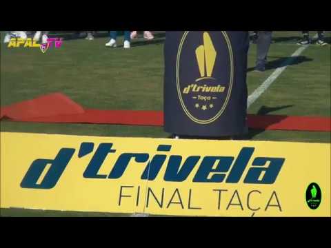 Pienses vs ADR Aveleda: 1-1 (2-4 g.p) - Final Taça D'Trivela 2016/17