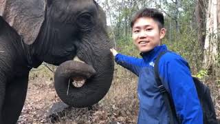 preview picture of video 'Mondulkiri Elephant Sanctuary tour by ToAsiaTravel'