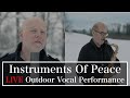 Instruments Of Peace