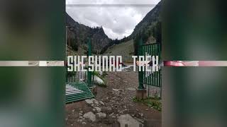 preview picture of video 'Sheshnag Lake Trek | Kashmir | Alpine Lake | 11,780ft |'