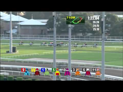2014 LONGINES Jockey Club Cup (International Group 2)