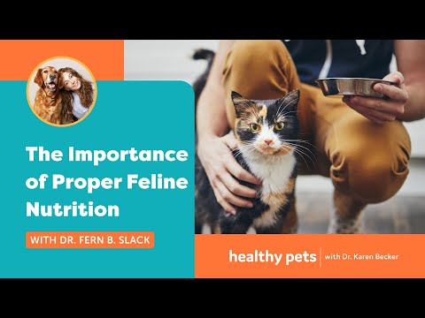 The Importance of Proper Feline Nutrition With Dr. Fern B. Slack