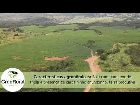 Fazenda à venda em ITAPURANGA-GO - 37,4 alqueires (181 hectares) - CredRural Imóveis