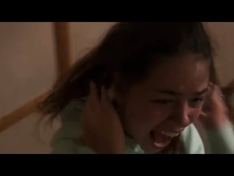 Janko Prenkovo Annu *Počela Plakat*