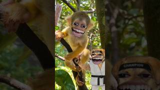 Download lagu video lucu monyet ketawa #comedy #funny mp3