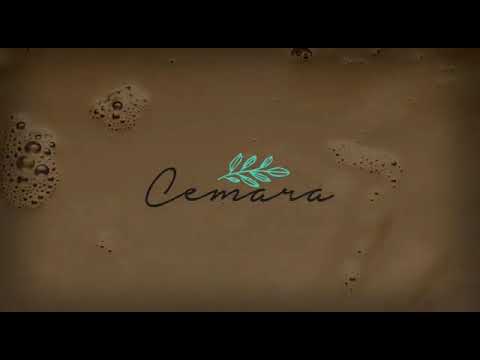 Chocolate Malt + Roselle