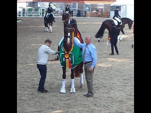 DKB-Bundeschampionate 2017 - Dominy & Therese Nilshagen bereiten sich auf die Siegerehrung vor