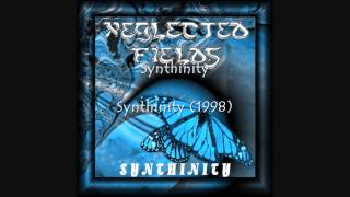 Neglected Fields - Synthinity