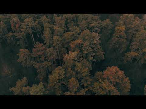 Chrono, Daltonist - Lost & Found