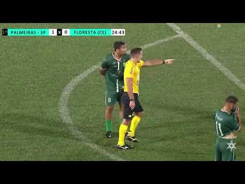 Copa são Paulo 2023" Palmeiras 5x0 Floresta | melhores momentos