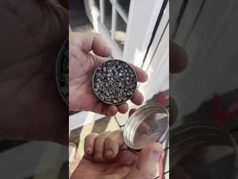 Firebird Targets Firebird 50 Biodegradable Target - SHOT Show 2020