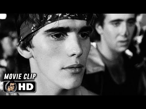 RUMBLE FISH Clip - Fight (1983) Francis Ford Coppola