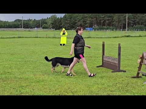 Flutwelle Porthos KK1 võistlus