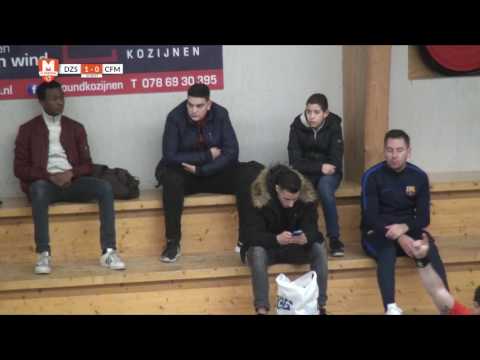 Samenvatting DZS - CFM 16/17