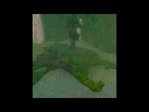 JUNKY - ISLAND OF THE BURIED FT. ANVTHEMA & CVTVSTRXPHE