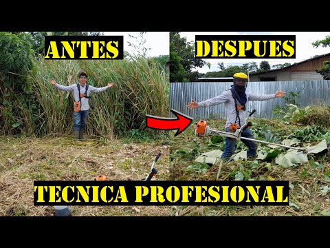 2 CUTTING TECHNIQUES WITH A BRUSHCUTTER OR TRIMMER THAT YOU SHOULD KNOW (100% effective).