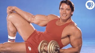Every Scientific Study on Arnold Schwarzenegger