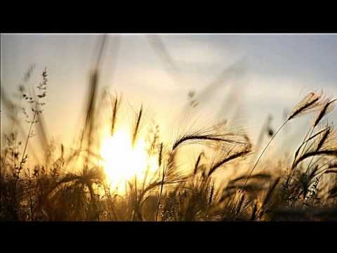 Sága krásy – Zelene je žito, zelene | Зелене жито, зелене | Ukrainian Folk Song