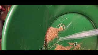 Lets pan for gold for the first time Using The ASR Gold Rush Prospecting kit and a bag of pay dirt