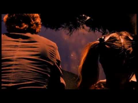 "Flamingos" Excerpt #2