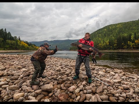 Рыбалка на Алгаме