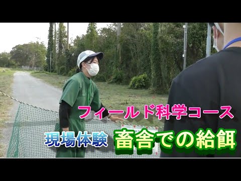【フィールド科学コース】現場体験（畜舎での給餌）