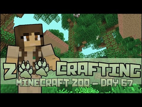 Lanterns in the Leaves!! 🐘 Zoo Crafting: Season 2 - Episode #67