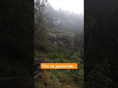 Удивительный поход в горы три года назад