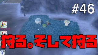 【ポケモンソードシールド #46】狩って狩って狩りまくる！9番道路【ゲーム実況】