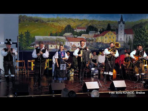 Ansambel Slovenski zvoki - Planiška polka (v živo)