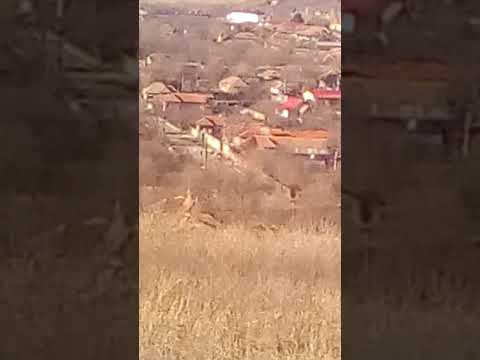 Satul Comuna Vâtop județul Dolj