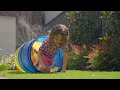 Go Play Sprinkle Splash Tunnel