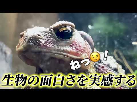 ご要望に沿った動画編集をします イメージ1