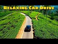 “Relaxing Car Drive