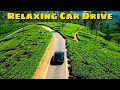 Relaxing Car Drive Classic Jumpscare Remake