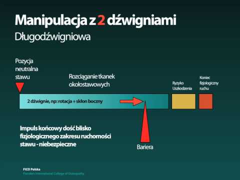 Jak zwiększyć mięśnie po 40 latach Trening na utratę wagi i zachowania mięśni