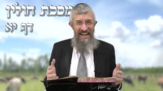 מסכת חולין דף יא - 8 דקות של לומדות ועמקות בדרך הלימוד הישיבתית [Hullin 11]