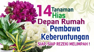 Download lagu 14 Tanaman Hias Depan Rumah Pembawa Keberuntungan. Siap Siap Rezeki Berlimpah! mp3 Download lagu 14 Tanaman Hias Depan Rumah Pembawa Keberuntungan. Siap Siap Rezeki Berlimpah! mp3