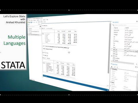 How to use Multiple Languages in STATA