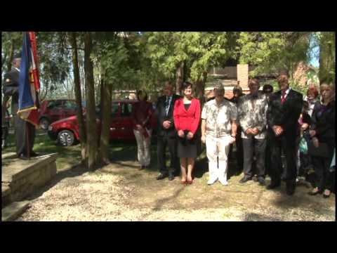 SVOBODA JE ENA, NAM VSEM DODELJENA....