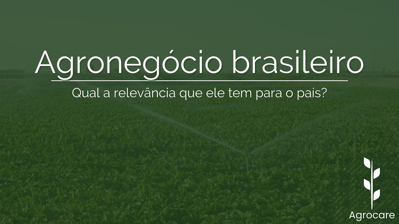 QUAL A RELEVÂNCIA DO AGRONEGÓCIO PARA O BRASIL?