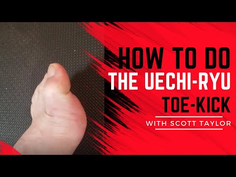 The Uechi-ryu pointed toe-kick (Sokusen) - A How To Video