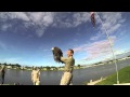 Bald Eagle Release