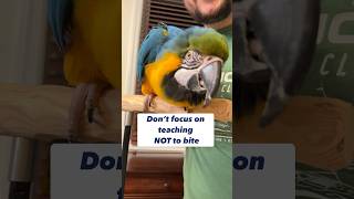 How to train 15 months old Macaw NOT to bite?