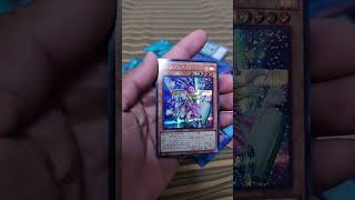 ¿que carta sigue?#tcg #yugioh #japan #collector