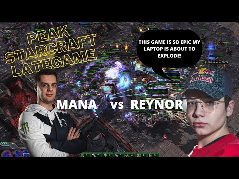 FPVOD MaNa (P) vs Reynor (Z) | Stream Highlights
